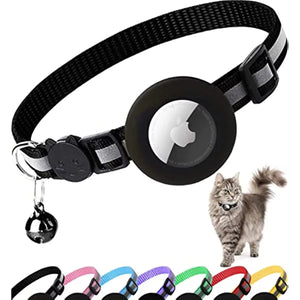 Pet Collar & Buckles