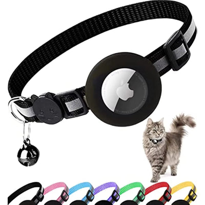 Pet Collar & Buckles