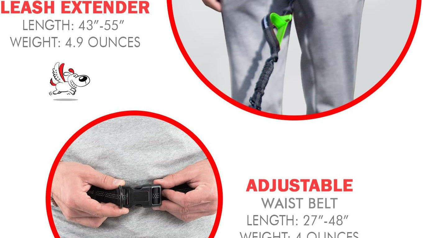 Hands Free Dog Leash for Running, Walking, Hiking, Cycling and Training. Bungee Harness, Adjustable Waist Belt, Single or Double Handle, Reflective Stitching. Medium and Large Dogs