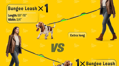 Hands Free Dog Leash for Running, Walking, Hiking, Cycling and Training. Bungee Harness, Adjustable Waist Belt, Single or Double Handle, Reflective Stitching. Medium and Large Dogs