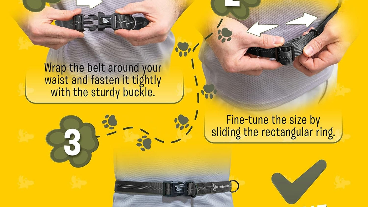 Hands Free Dog Leash for Running, Walking, Hiking, Cycling and Training. Bungee Harness, Adjustable Waist Belt, Single or Double Handle, Reflective Stitching. Medium and Large Dogs