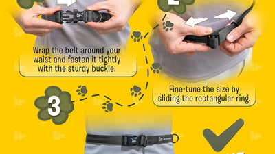 Hands Free Dog Leash for Running, Walking, Hiking, Cycling and Training. Bungee Harness, Adjustable Waist Belt, Single or Double Handle, Reflective Stitching. Medium and Large Dogs