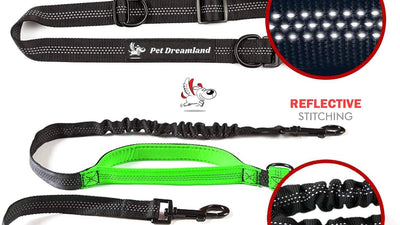 Hands Free Dog Leash for Running, Walking, Hiking, Cycling and Training. Bungee Harness, Adjustable Waist Belt, Single or Double Handle, Reflective Stitching. Medium and Large Dogs